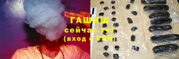 хмурый Арсеньев