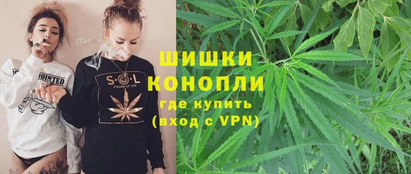 амф Аркадак