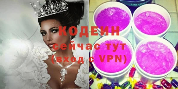 хмурый Арсеньев