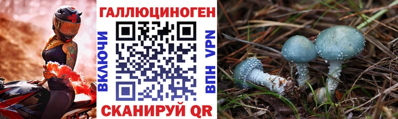 Псилоцибиновые грибы Psilocybe  Купить где  Уварово 